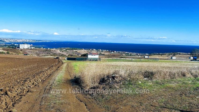 Apply Emergency Hourly Luxury Villa Project, Provide High Earnings, Completely Full Sea And Nature View