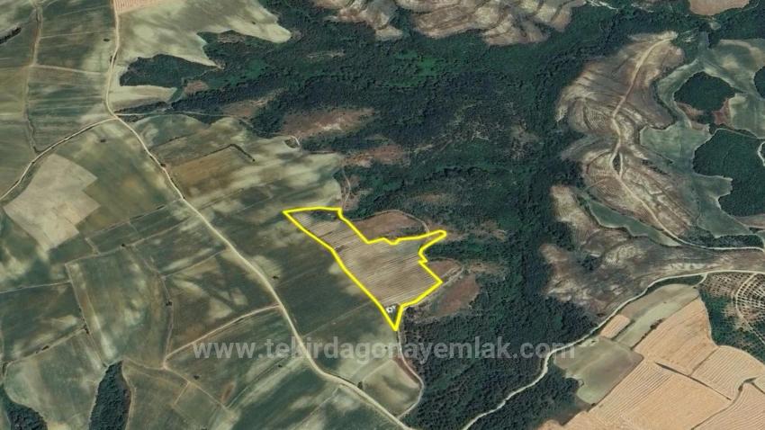 *Barter+Cash* Build A Farm With State Support* Produce And Grow* Secure Your Future*