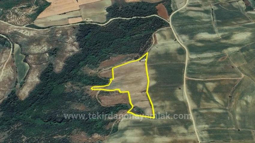 *Barter+Cash* Build A Farm With State Support* Produce And Grow* Secure Your Future*