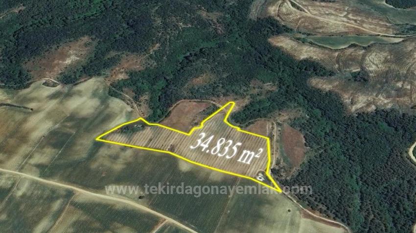 *Barter+Cash* Build A Farm With State Support* Produce And Grow* Secure Your Future*