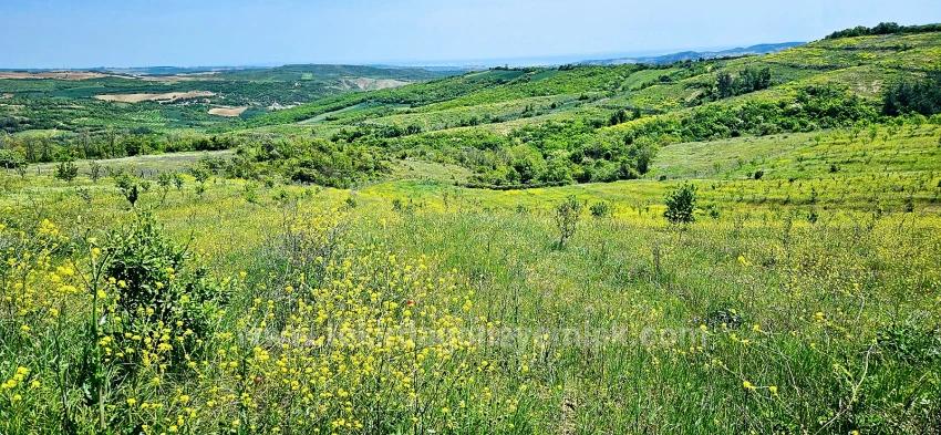 *Barter+Cash* Build A Farm With State Support* Produce And Grow* Secure Your Future*