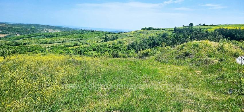 *Barter+Cash* Build A Farm With State Support* Produce And Grow* Secure Your Future*