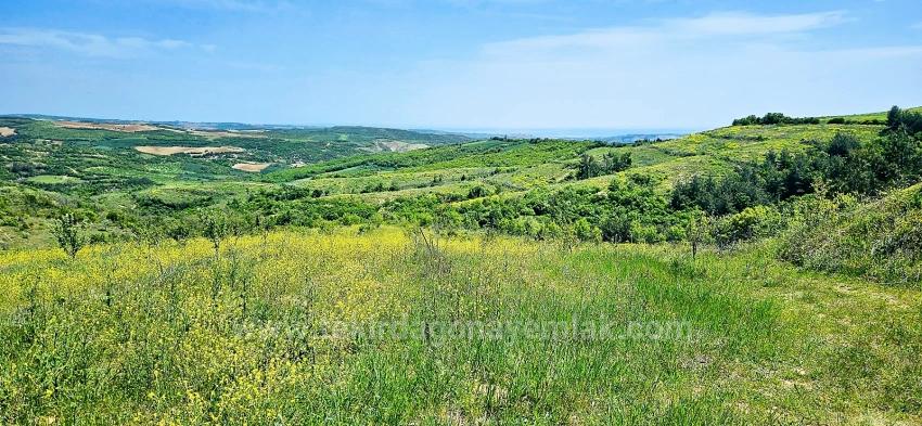 *Barter+Cash* Build A Farm With State Support* Produce And Grow* Secure Your Future*