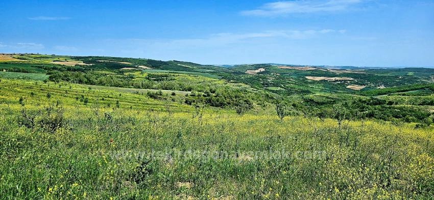 *Barter+Cash* Build A Farm With State Support* Produce And Grow* Secure Your Future*