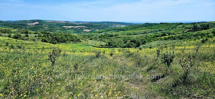 *Barter+Cash* Build A Farm With State Support* Produce And Grow* Secure Your Future*