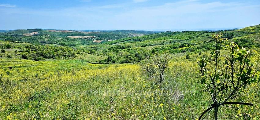 *Barter+Cash* Build A Farm With State Support* Produce And Grow* Secure Your Future*