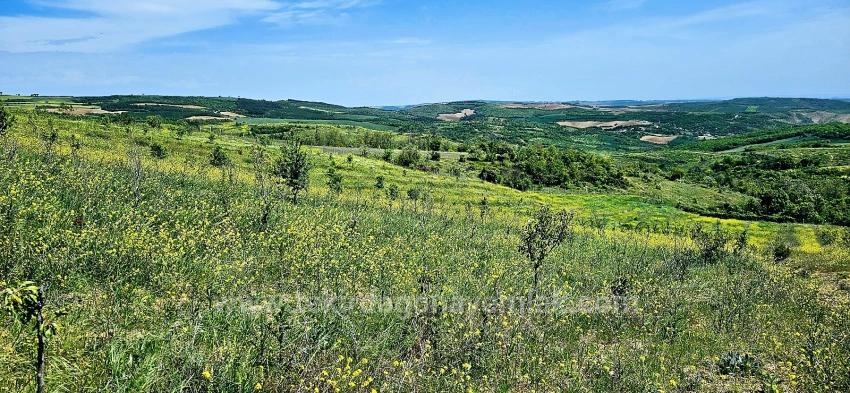 *Barter+Cash* Build A Farm With State Support* Produce And Grow* Secure Your Future*