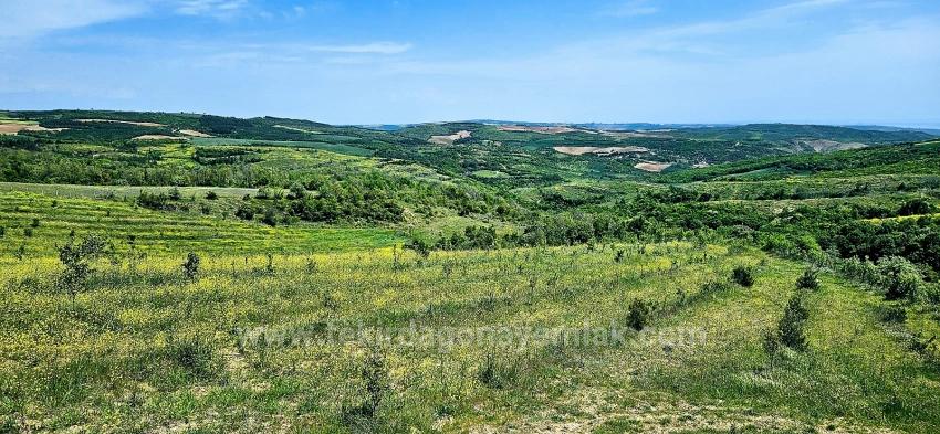 *Barter+Cash* Build A Farm With State Support* Produce And Grow* Secure Your Future*