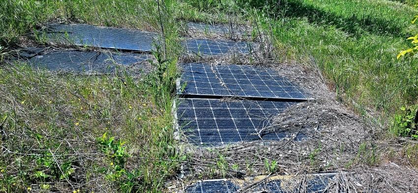 *Barter+Cash* Build A Farm With State Support* Produce And Grow* Secure Your Future*