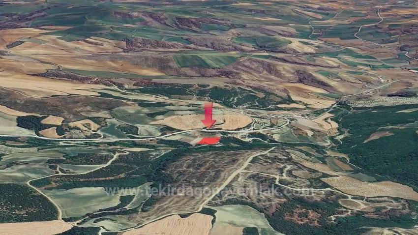 Detached Parcel, Not A Single Title Deed, Very Close To The Village Zoning Boundary, Urgent Sale, Search For Opportunity