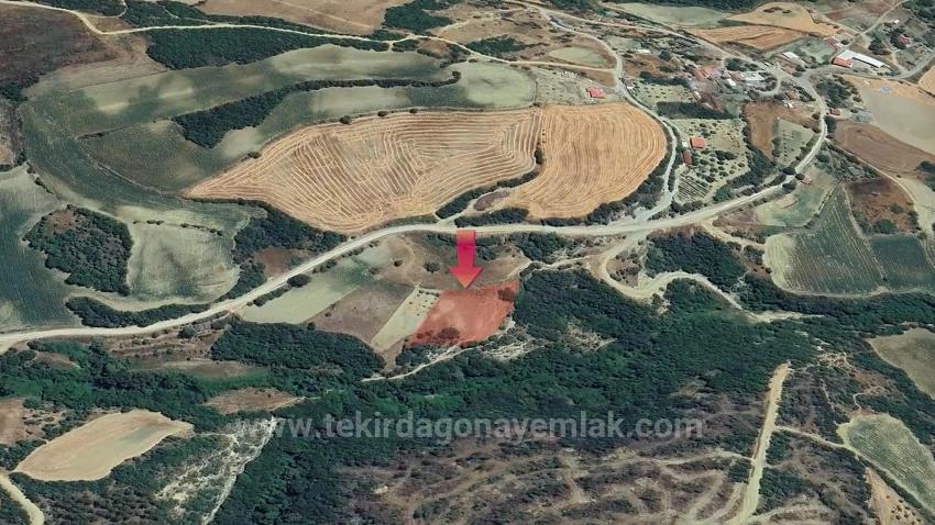 Detached Parcel, Not A Single Title Deed, Very Close To The Village Zoning Boundary, Urgent Sale, Search For Opportunity