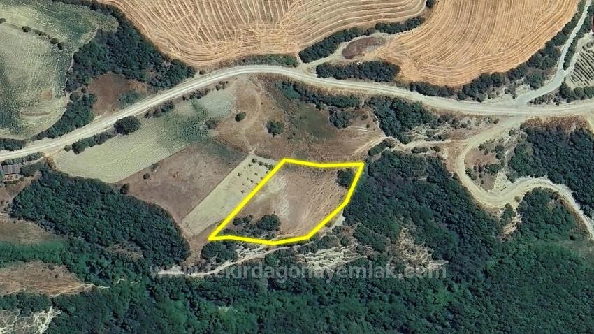 Detached Parcel, Not A Single Title Deed, Very Close To The Village Zoning Boundary, Urgent Sale, Search For Opportunity