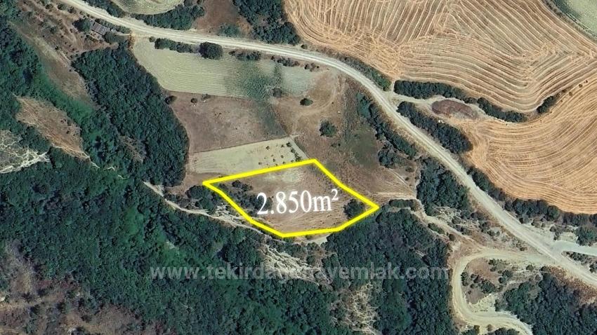 Field For Sale in Avşar Nbh. Süleymanpaşa - Field Zoned - 2.850 m²