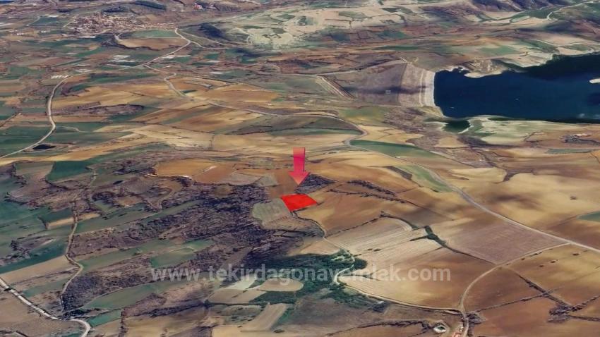 Investment Opportunity: Guaranteed High Profit In The Short Term For Those Who Want To Buy And Sell