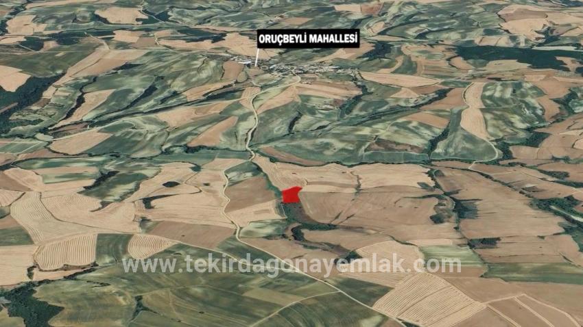 Field For sale in Oruçbeyli Nbh. Süleymanpaşa - Field Zoned - 8.100 m²