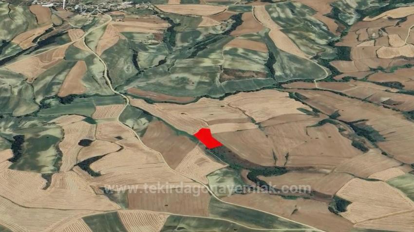 An Unmissable Investment Opportunity: 8,100 M² Of Bargain Land In The Oruç Beyli Neighborhood Of Tekirdağ.
