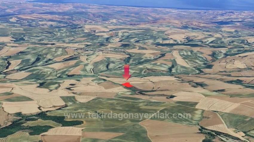 An Unmissable Investment Opportunity: 8,100 M² Of Bargain Land In The Oruç Beyli Neighborhood Of Tekirdağ.