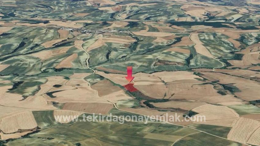 Field For sale in Oruçbeyli Nbh. Süleymanpaşa - Field Zoned - 8.100 m²