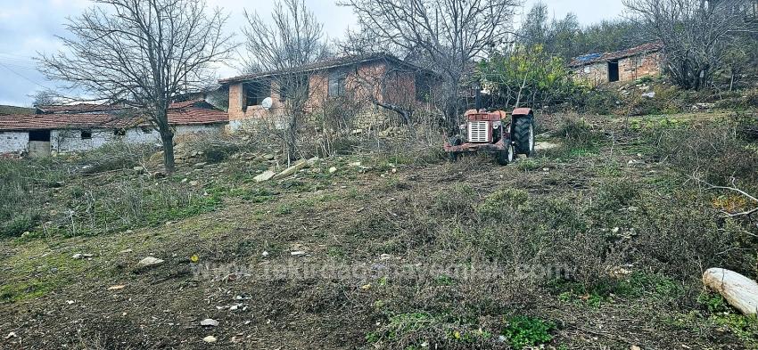 **No Shares, Single Title Deed**Coupon Bargain Land For Village House Enthusiasts**