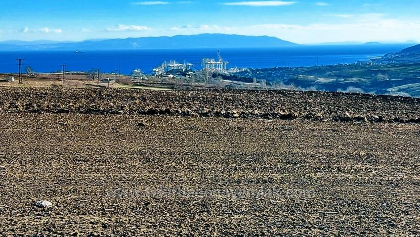 Opportunity Land In The Factories Region, With High Short-Term Profits