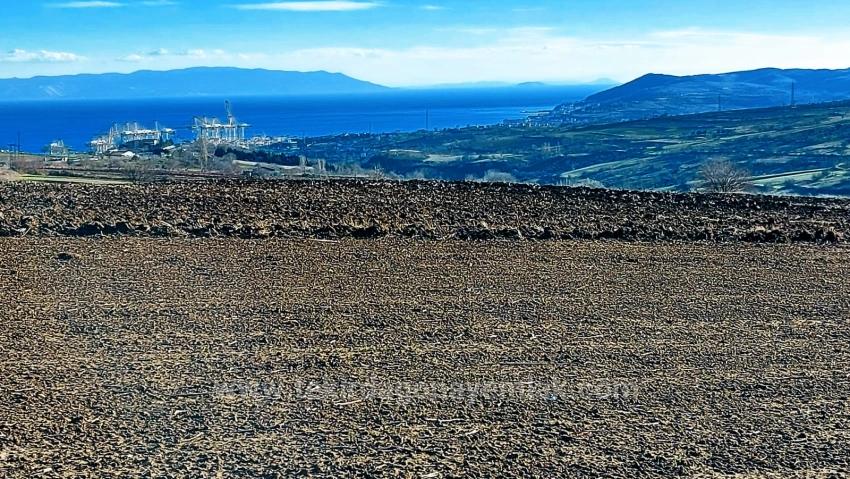 Opportunity Land In The Factories Region, With High Short-Term Profits