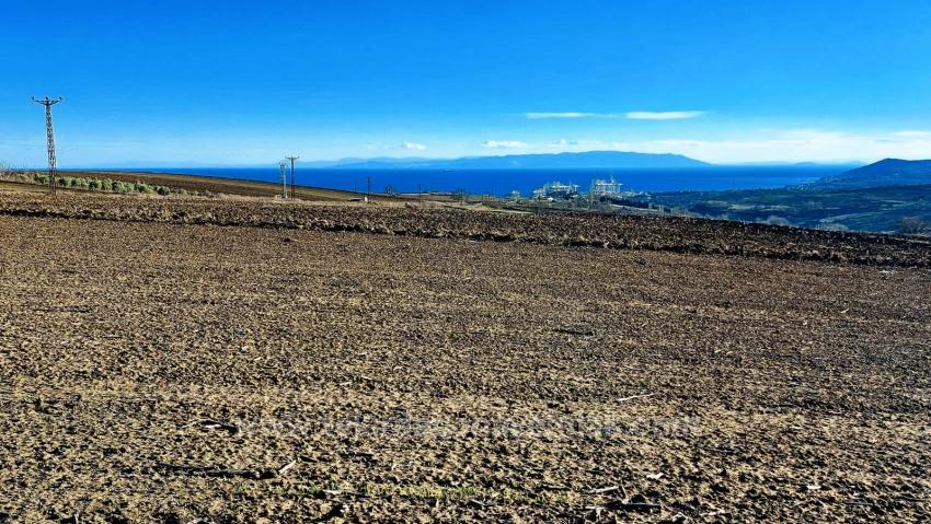 Opportunity Land In The Factories Region, With High Short-Term Profits