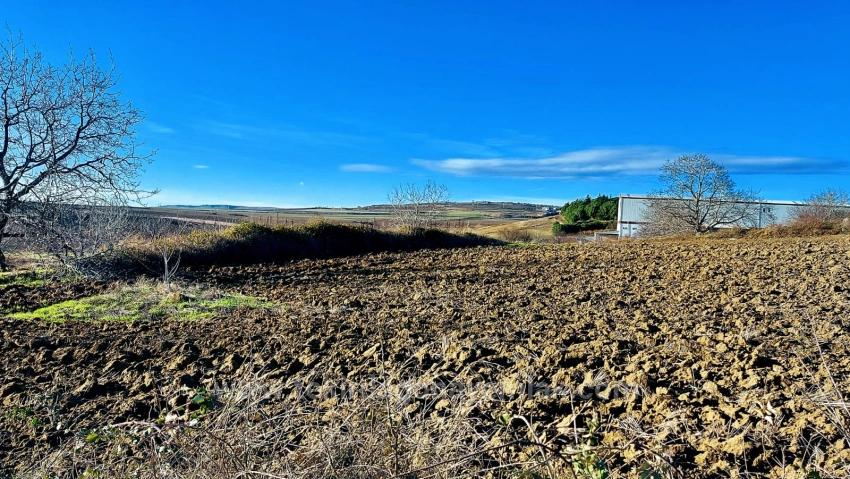 Opportunity Land In The Factories Region, With High Short-Term Profits