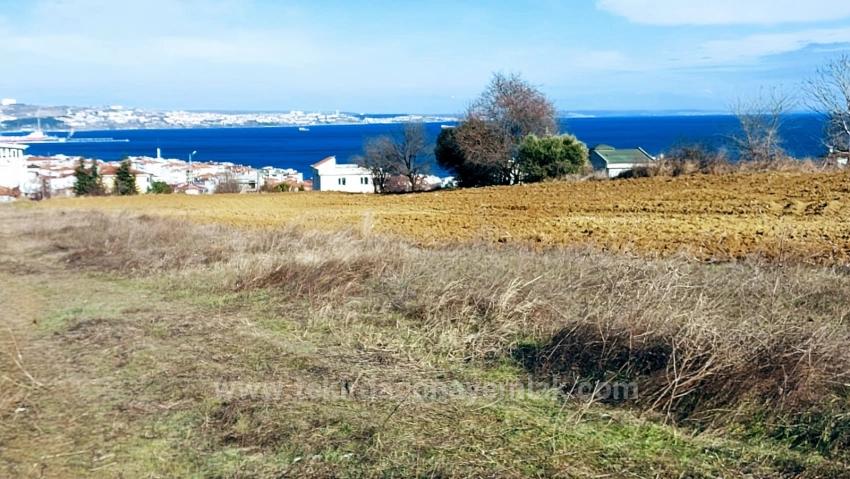 Coupon Land With Full Sea And Nature Views, Infrastructure Is Ready, Start Construction Now