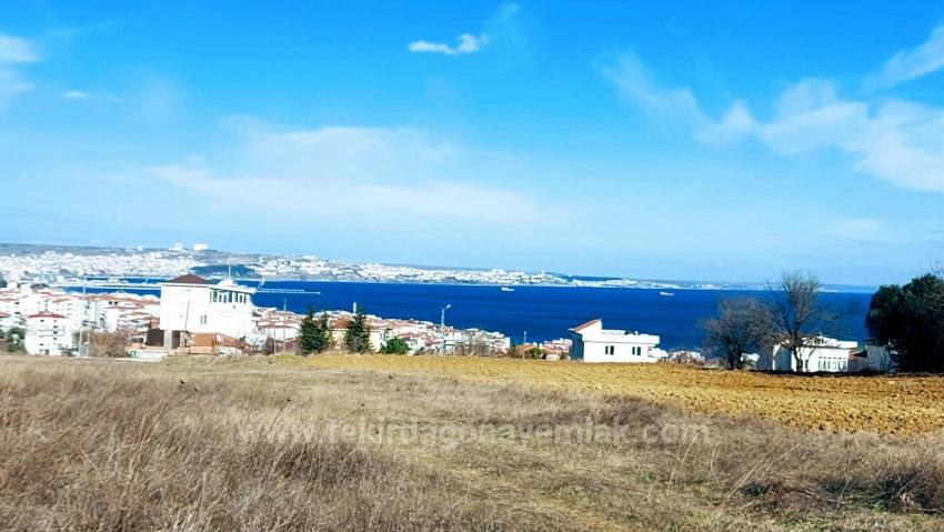 Coupon Land With Full Sea And Nature Views, Infrastructure Is Ready, Start Construction Now