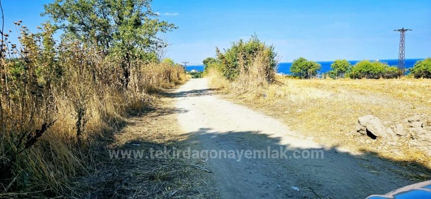 615 M2 Bargain Corner Plot Close To Asyaport