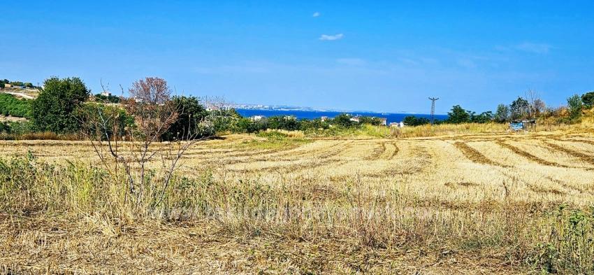 615 M2 Bargain Corner Plot Close To Asyaport