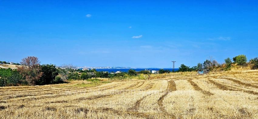 615 M2 Bargain Corner Plot Close To Asyaport