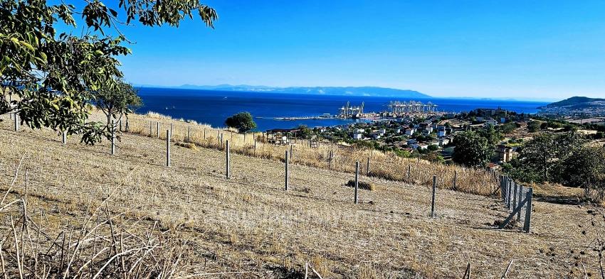 High Profit Guarantee For Those Who Want To Buy And Sell Urgent Sale Due To Cash Needs