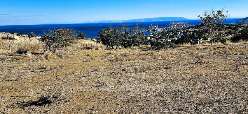 High Profit Guarantee For Those Who Want To Buy And Sell Urgent Sale Due To Cash Needs