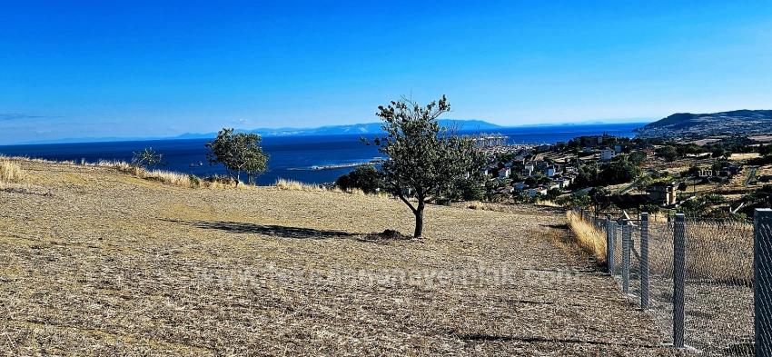 High Profit Guarantee For Those Who Want To Buy And Sell Urgent Sale Due To Cash Needs