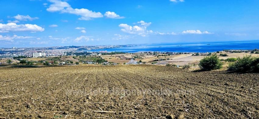 Land Opportunity Suitable For 4 Luxury Villas With Full Sea View