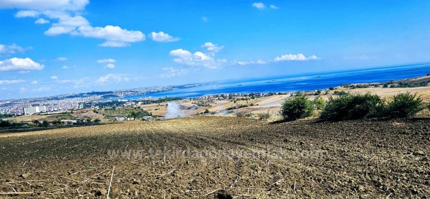 Land Opportunity Suitable For 4 Luxury Villas With Full Sea View