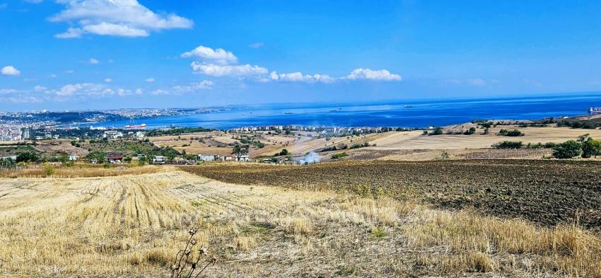 Land Opportunity Suitable For 4 Luxury Villas With Full Sea View