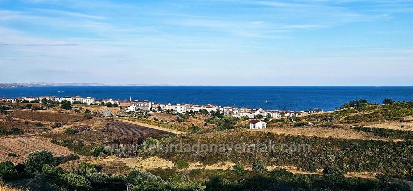 Bargain 1,150 M2 Land With Full Sea View In Tekirdağ Topağaç Neighborhood