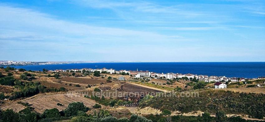 Bargain 1,150 M2 Land With Full Sea View In Tekirdağ Topağaç Neighborhood