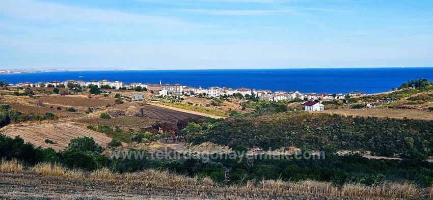 Bargain 1,150 M2 Land With Full Sea View In Tekirdağ Topağaç Neighborhood