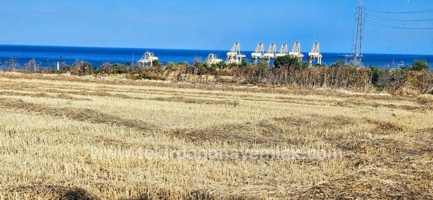 Field For sale in Barbaros Nbh. Süleymanpaşa Kumbağ - Housing Zoned - 8.500 m²