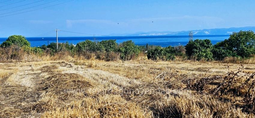 8,500 M2 Residential Land With High Profit Promise, Close To Asyaport Port