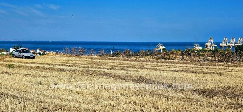 Field For sale in Barbaros Nbh. Süleymanpaşa Kumbağ - Housing Zoned - 8.500 m²
