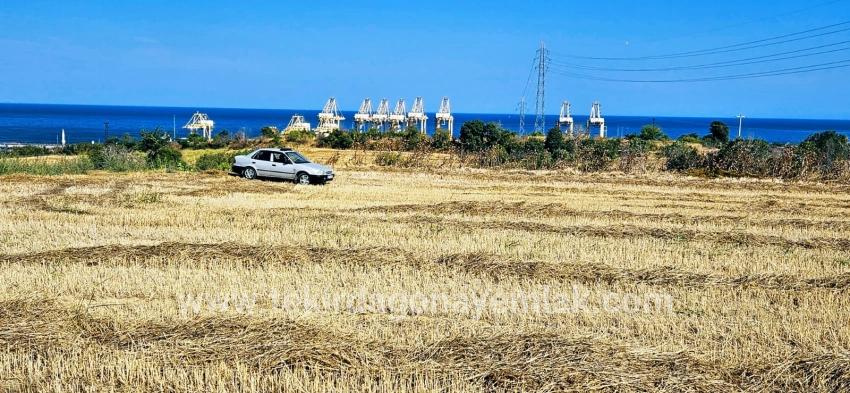 Field For sale in Barbaros Nbh. Süleymanpaşa Kumbağ - Housing Zoned - 8.500 m²