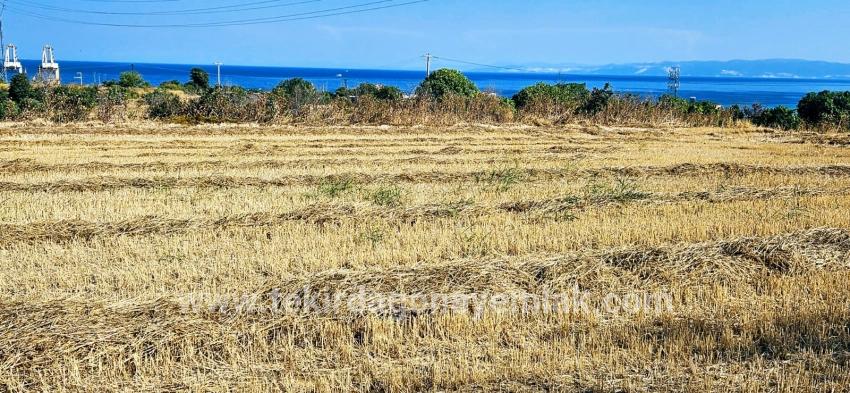 Field For sale in Barbaros Nbh. Süleymanpaşa Kumbağ - Housing Zoned - 8.500 m²