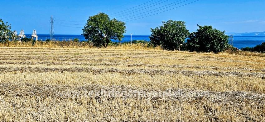Field For sale in Barbaros Nbh. Süleymanpaşa Kumbağ - Housing Zoned - 8.500 m²