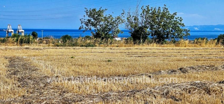 Field For sale in Barbaros Nbh. Süleymanpaşa Kumbağ - Housing Zoned - 8.500 m²