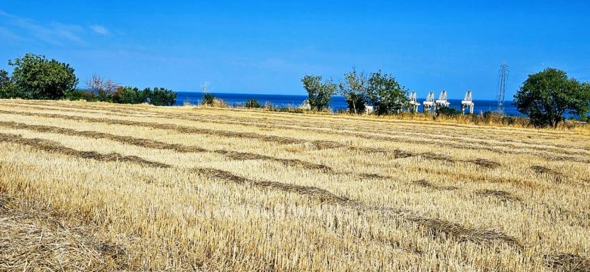 8,500 M2 Residential Land With High Profit Promise, Close To Asyaport Port