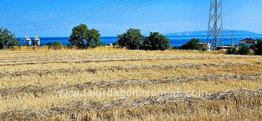 Field For sale in Barbaros Nbh. Süleymanpaşa Kumbağ - Housing Zoned - 8.500 m²